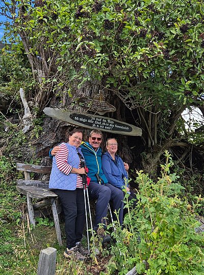 Wanderung der Naturfreunde - Kreuzeckbahn mit Klinghütte - Mühldorfer Alm