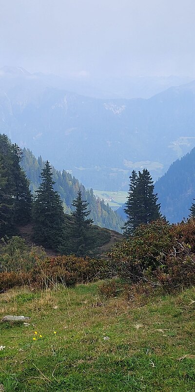 20. Seniorenwanderung der Naturfreunde - Zollnerseehütte