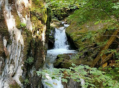 Naturfreunde-Ausflug zur Barbarossaschlucht Mühldorf