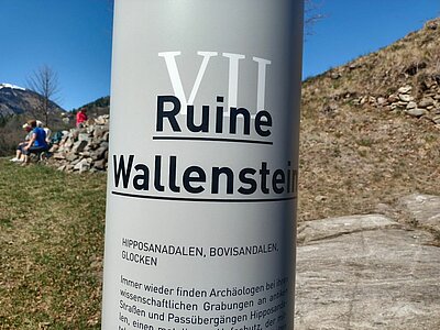 Wanderung der Naturfreunde - Ruine Walchenstein
