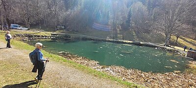 Naturfreunde-Wanderung Schlossberg