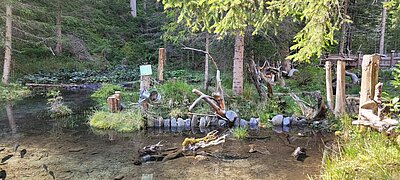 Wanderung der Naturfreunde - Wassererlebnisweg St. Jakob i.Def.