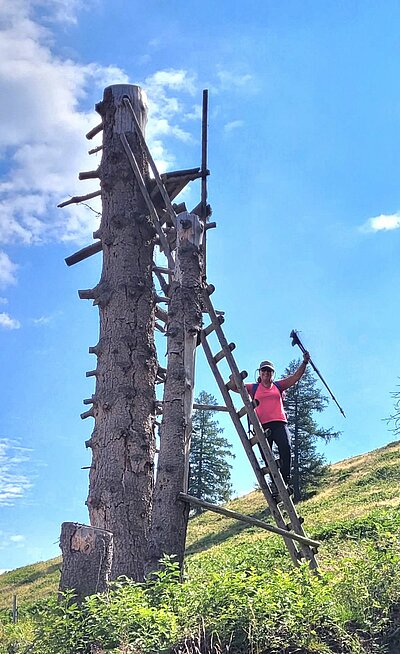 Wanderung der Naturfreunde - Lainacher Kuhalm - Ronahütte