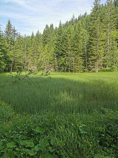 Wanderung der Naturfreunde - Ederplan mit Heldenkreuz und Anna Schutzhaus