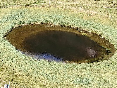 Wanderung der Naturfreunde - Jagdhausalmen und Pfauenauge