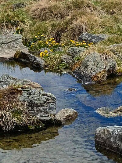 Wanderung der Naturfreunde - Winklerner Almsee