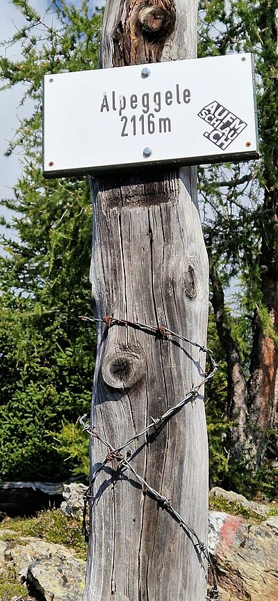 18. Seniorenwanderung der Naturfreunde - Thurntaler Runde