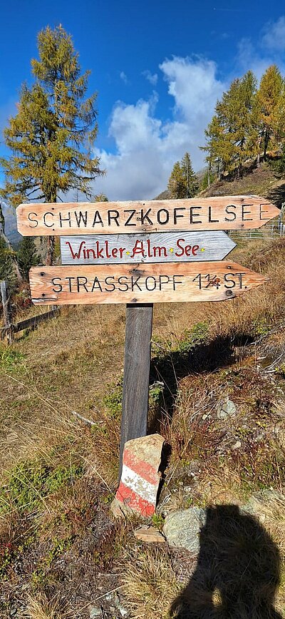 Wanderung der Naturfreunde - Winklerner Almsee