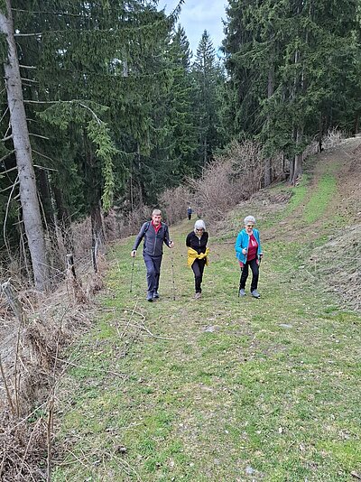 Wanderung der Naturfreunde - Jaggler Kreuz