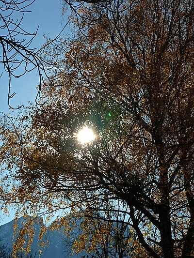 Abschlusswanderung der Naturfreunde - Sonnenrunde