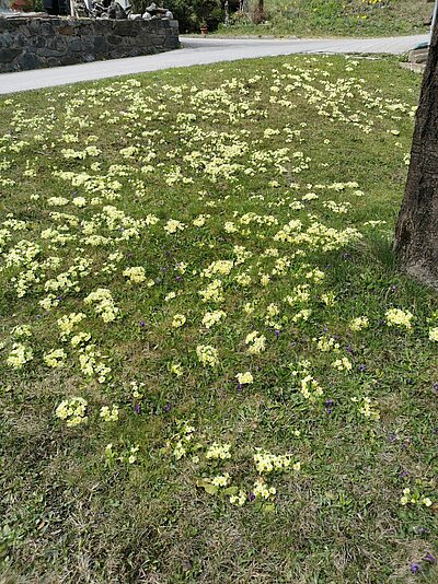 Wanderung der Naturfreunde - Jaggler Kreuz