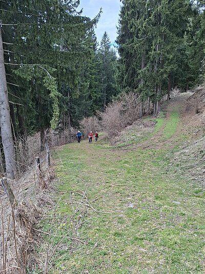 Wanderung der Naturfreunde - Jaggler Kreuz
