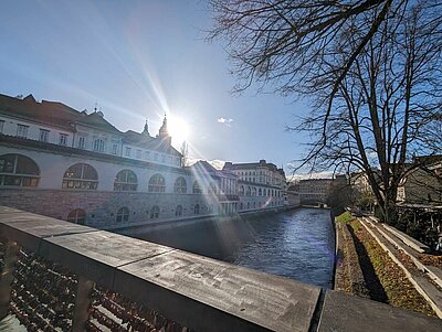 Naturfreunde-Ausflug zum Christkindlmarkt Laibach