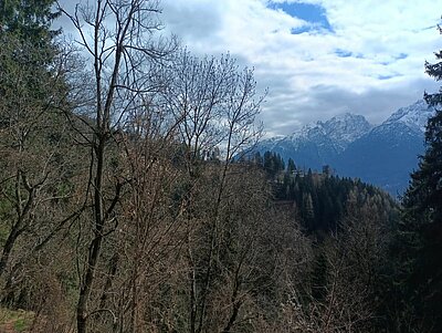 Wanderung der Naturfreunde - Zick Zack Steig