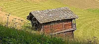 Wanderung der Naturfreunde - Zunig Alm