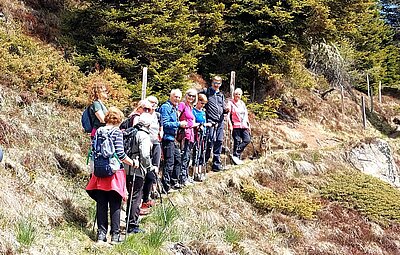 Wanderung der Naturfreunde - Winklerner Almsee