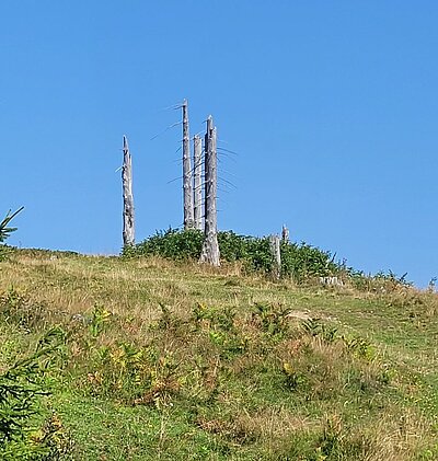 Wanderung der Naturfreunde - Kohlröslhütte 1534m