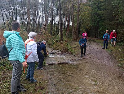 Wanderung der Naturfreunde - Lavant - Waldpfad und Kirchen