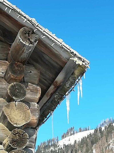 Schneeschuhwanderung der Naturfreunde in Obertilliach