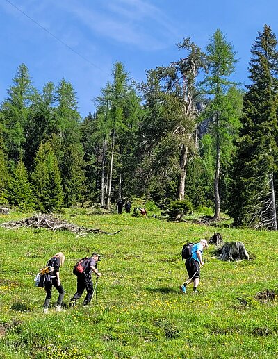 Wanderung der Naturfreunde - Rauchkofel