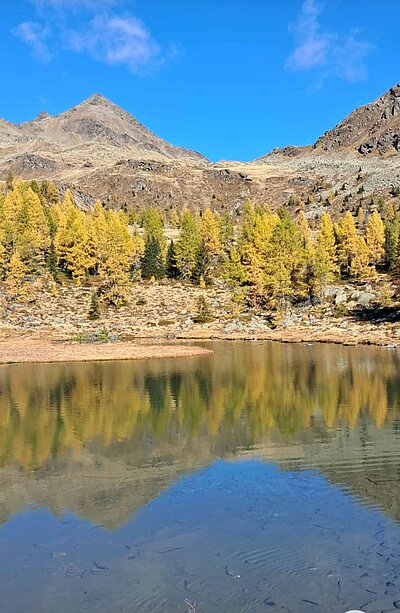 Wanderung der Naturfreunde - Winklerner Almsee