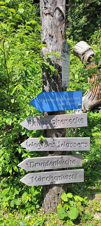 Wanderung der Naturfreunde - Morendenweg, Märchenwald und Wasserfall