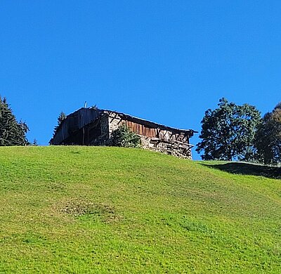 Wanderung der Naturfreunde - Silvesteralm