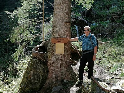 Sonntagswanderung der Naturfreunde - Stappitzersee und Schwussnerhütte