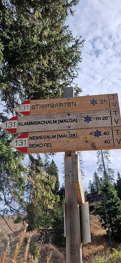 Wanderung der Naturfreunde - Nemes Alm