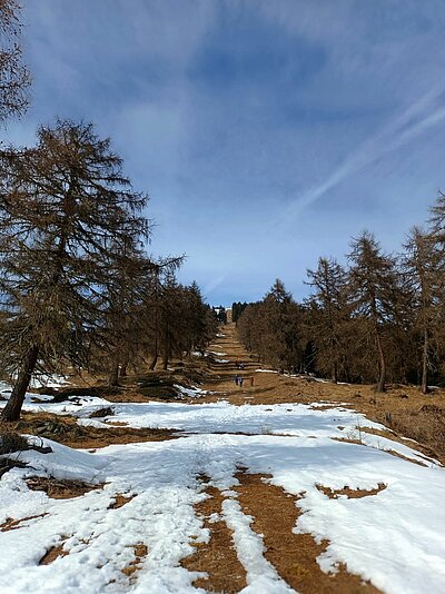 Wanderung der Naturfreunde - Naturfreundehütte