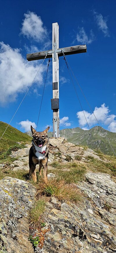 Wanderung der Naturfreunde - Stanitzkopf und/oder Obere Zraunighütte