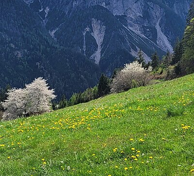 6. Seniorenwanderung der Naturfreunde - Reiter Kirchl