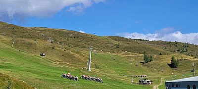 18. Seniorenwanderung der Naturfreunde - Thurntaler Runde