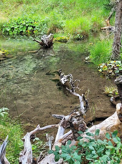 Sonntagsausflug der Naturfreunde - Wassererlebnisweg St. Jakob