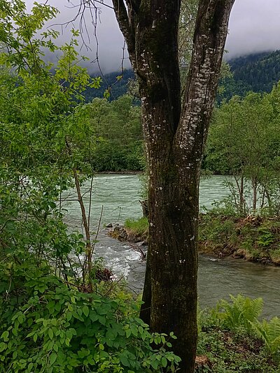 Wanderung der Naturfreunde - Aguntum-Golfhotel-Runde