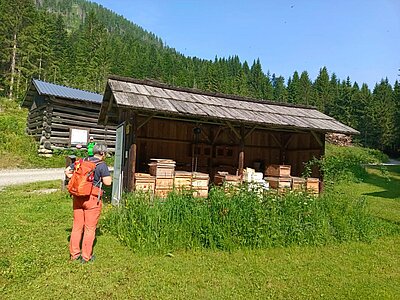 Wanderung der Naturfreunde - Morendenweg, Märchenwald und Wasserfall