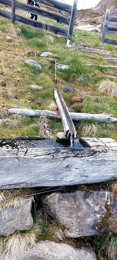 Wanderung der Naturfreunde - Winklerner Almsee