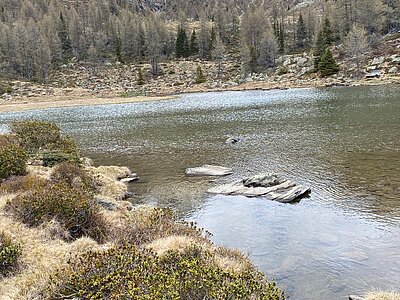Wanderung der Naturfreunde - Winklerner Almsee
