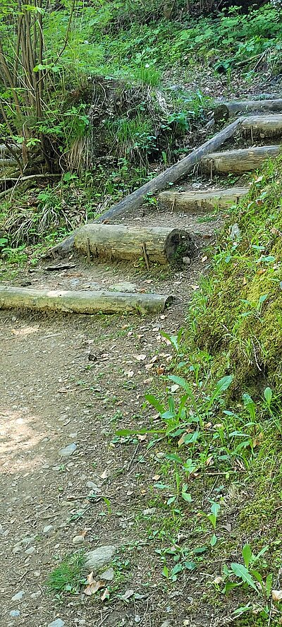 Wanderung der Naturfreunde - Iseltrail 1 (Pfister bis Glanzer Brücke)