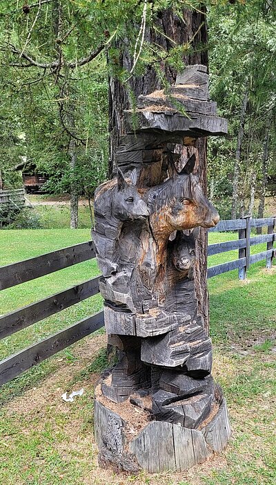 Wanderung der Naturfreunde - Wassererlebnisweg St. Jakob i.Def.