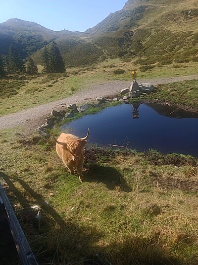 Wanderung der Naturfreunde - Zollnerseehütte