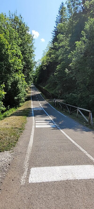 Bus-Rad-Ausflug der Naturfreunde 2023 nach Bled