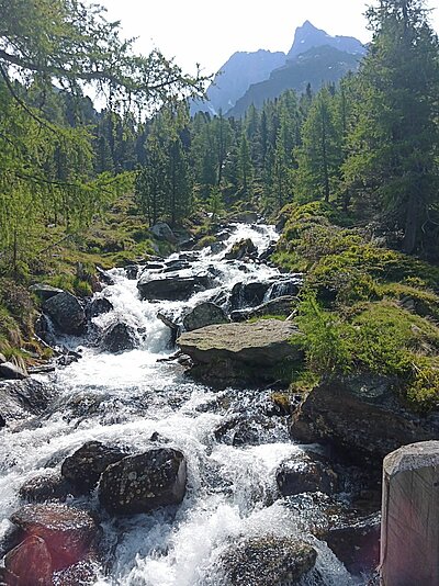 Sonntagswanderung der Naturfreunde - Hochschoberhütte