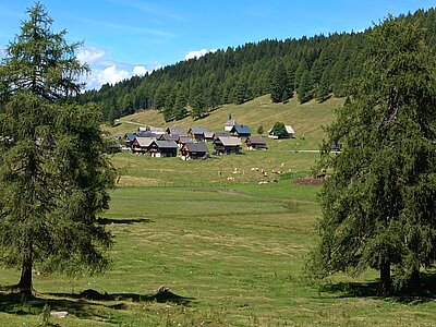 Wanderung der Naturfreunde - Egger Alm in Hermagor