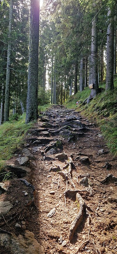 Wanderung der Naturfreunde - Kreuzeckbahn mit Klinghütte - Mühldorfer Alm