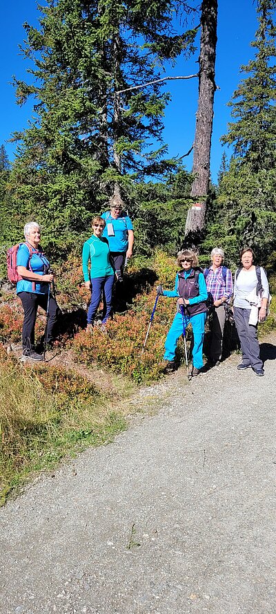 18. Seniorenwanderung der Naturfreunde 2022 - Nemes Alm Rundwanderung