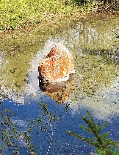 Wanderung der Naturfreunde - Wassererlebnisweg St. Jakob i.Def.