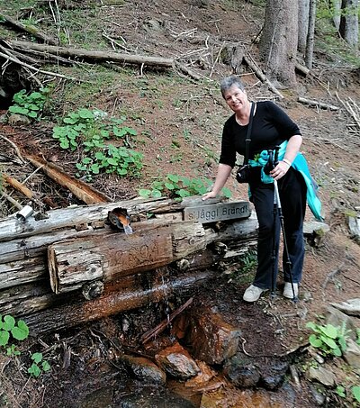 6. Seniorenwanderung der Naturfreunde - Reiter Kirchl