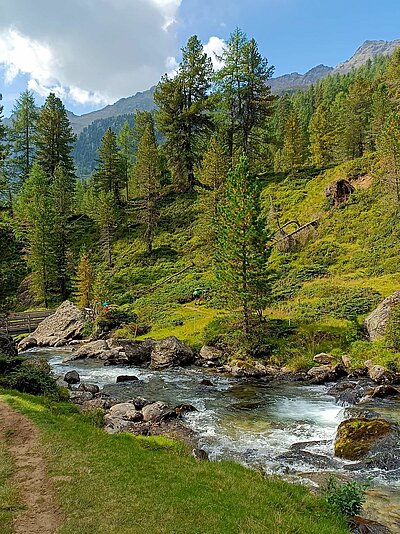 17. Seniorenwanderung der Naturfreunde - Lienzer Hütte