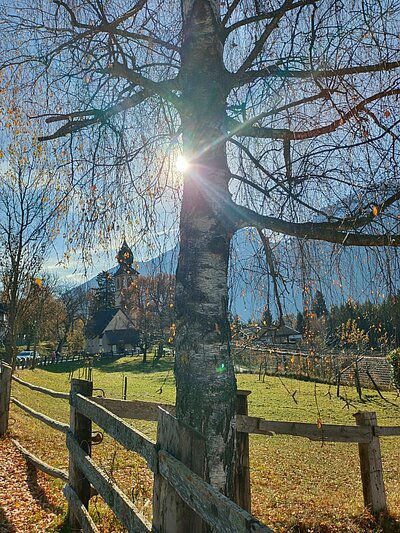Abschlusswanderung der Naturfreunde - Sonnenrunde